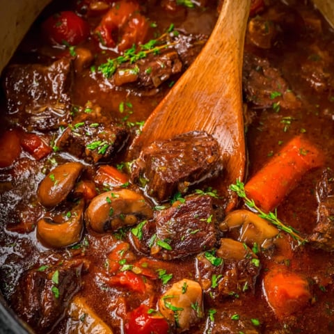 A close up of French style braised short ribs.